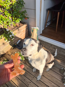 Pup Pops